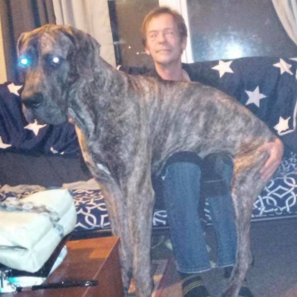 Meet your Posher, Steven - Picture 1 of 1